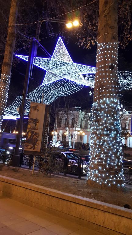 Apartment On Rustaveli Avenue تبليسي المظهر الخارجي الصورة