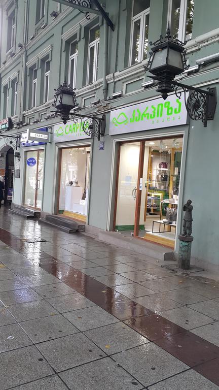 Apartment On Rustaveli Avenue تبليسي المظهر الخارجي الصورة